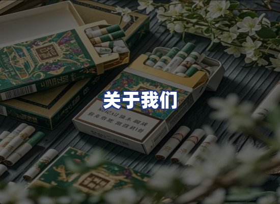 专业团队
